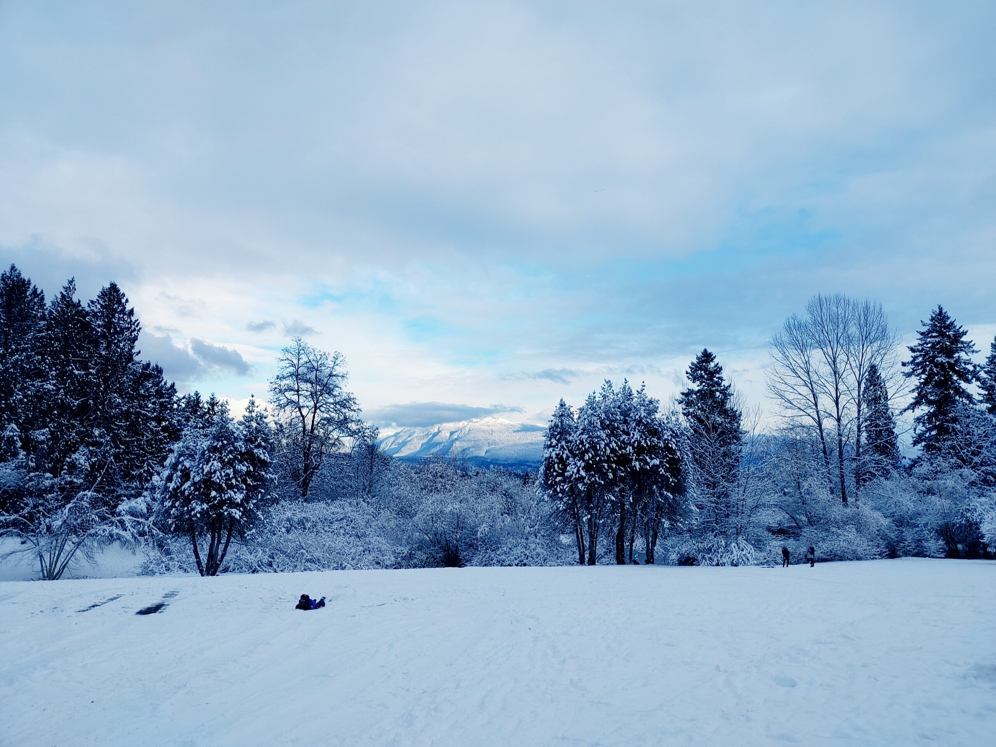 カナダマニュアル めずらしく雪が積もったバンクーバー 市内の観光スポットでもあるクイーンエリザベスパークからの景色をお届けします T Co W1opugumt1 Twitter