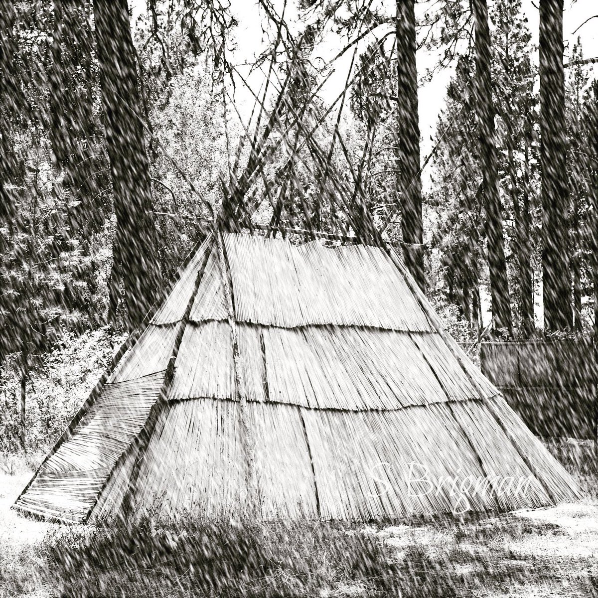 Cmtus_Sturgeon's tweet photo. βοΈ Winter lodge βοΈ
Wellpinit Powwow Grounds
#tule #tulemat #tulemattipi #tulematlodge https://t.co/JvqH9InH6L