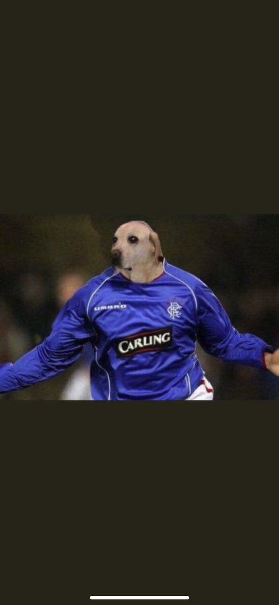 SamMartin__'s tweet image. 