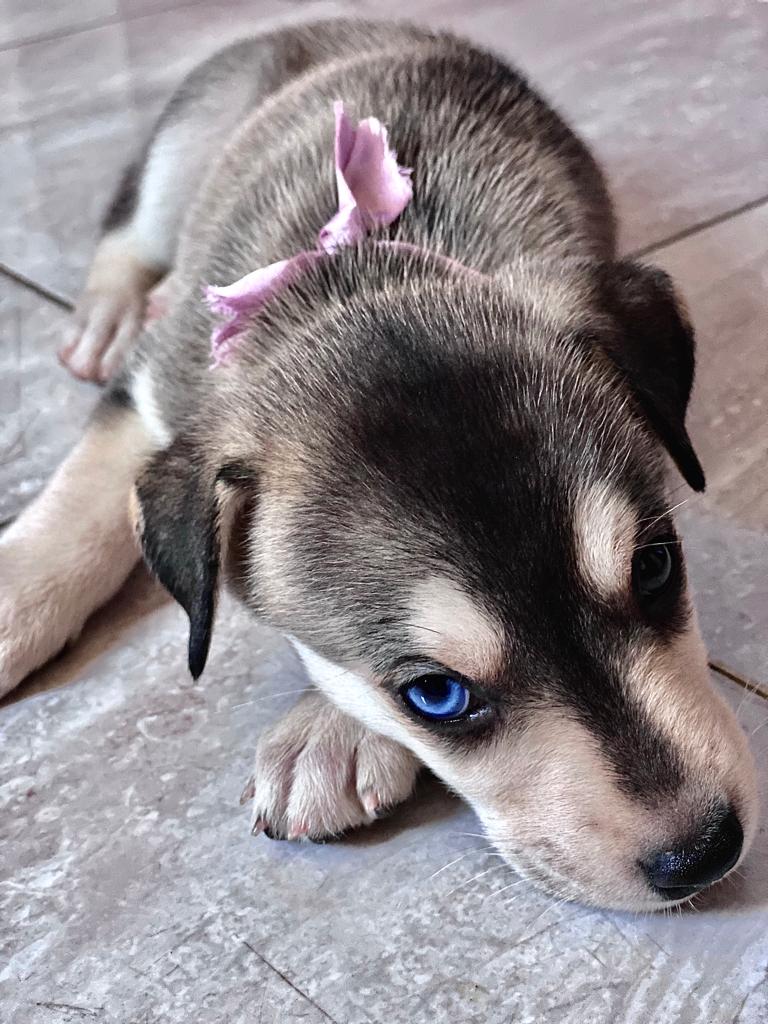VictoriaGilBJ's tweet photo. Te amo mi pequeñita ❤️ https://t.co/sJrIjsCSet