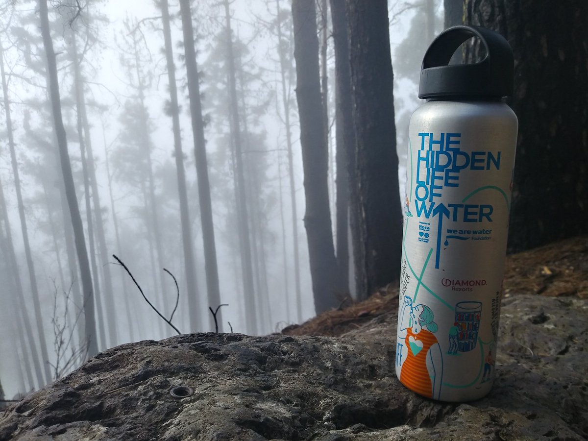 Daniel Rodriguez tweet media