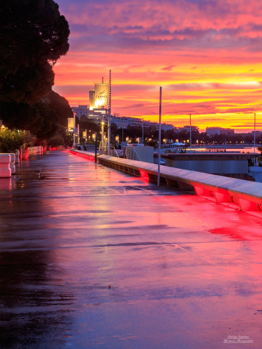 Slpcannes's tweet photo. Après la vidéo voici en photo le levé de soleil du 23/12/2021 bonne soirée 

#Cannes #CannesIsYours #CotedAzurFrance 
@Cannes_France @villecannes @VisitCotedazur https://t.co/nogYWNCbaJ