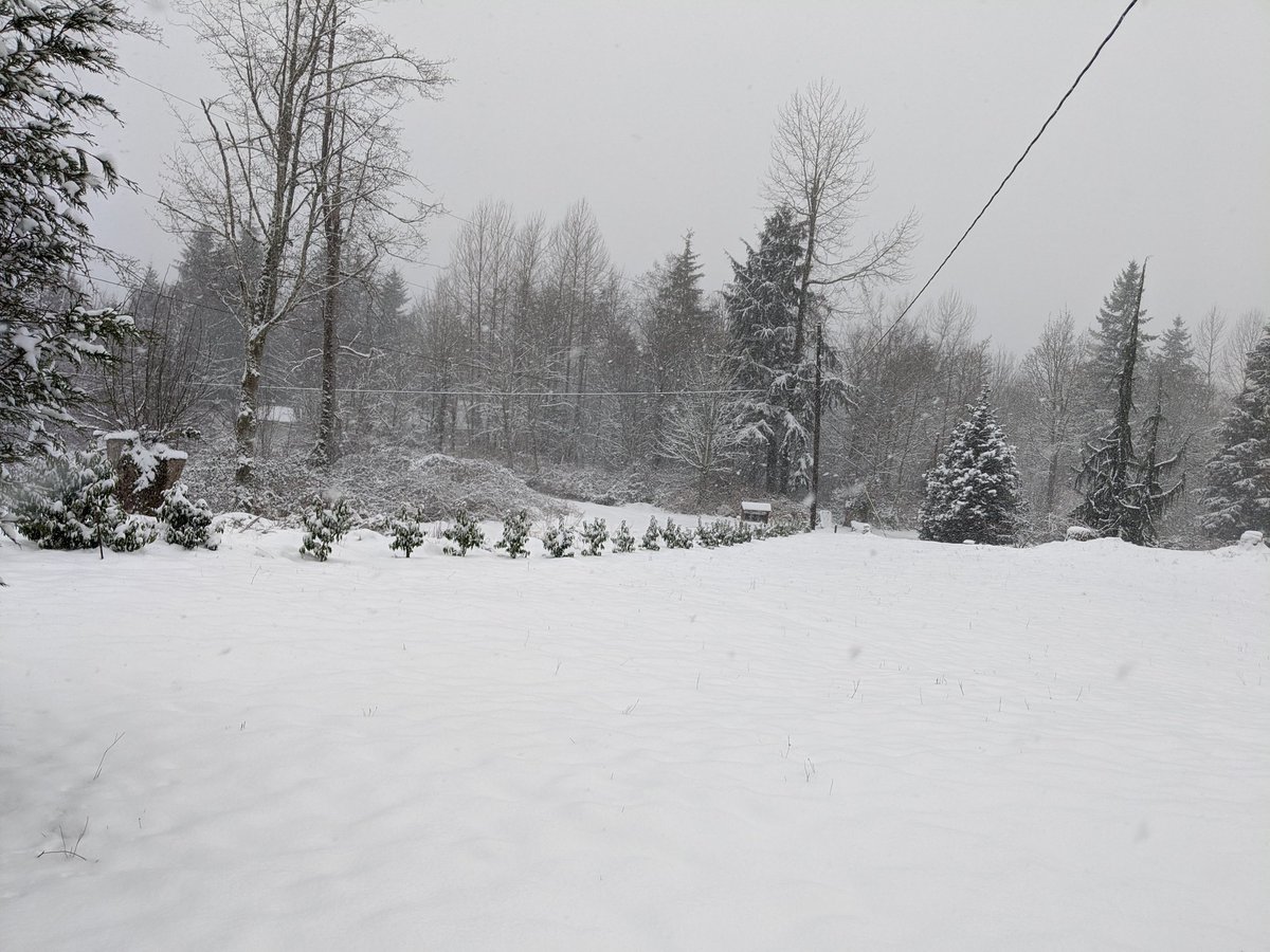 kareese's tweet photo. More #Snowpocalypse
No official measurements but it's almost over my boots
#wawx #snohomish #PNW https://t.co/tpKVjMkIXj