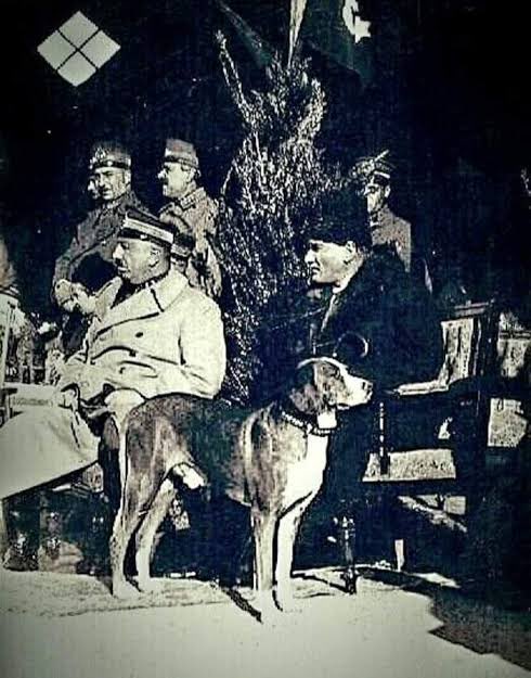 Sen dünyalara bedelsin