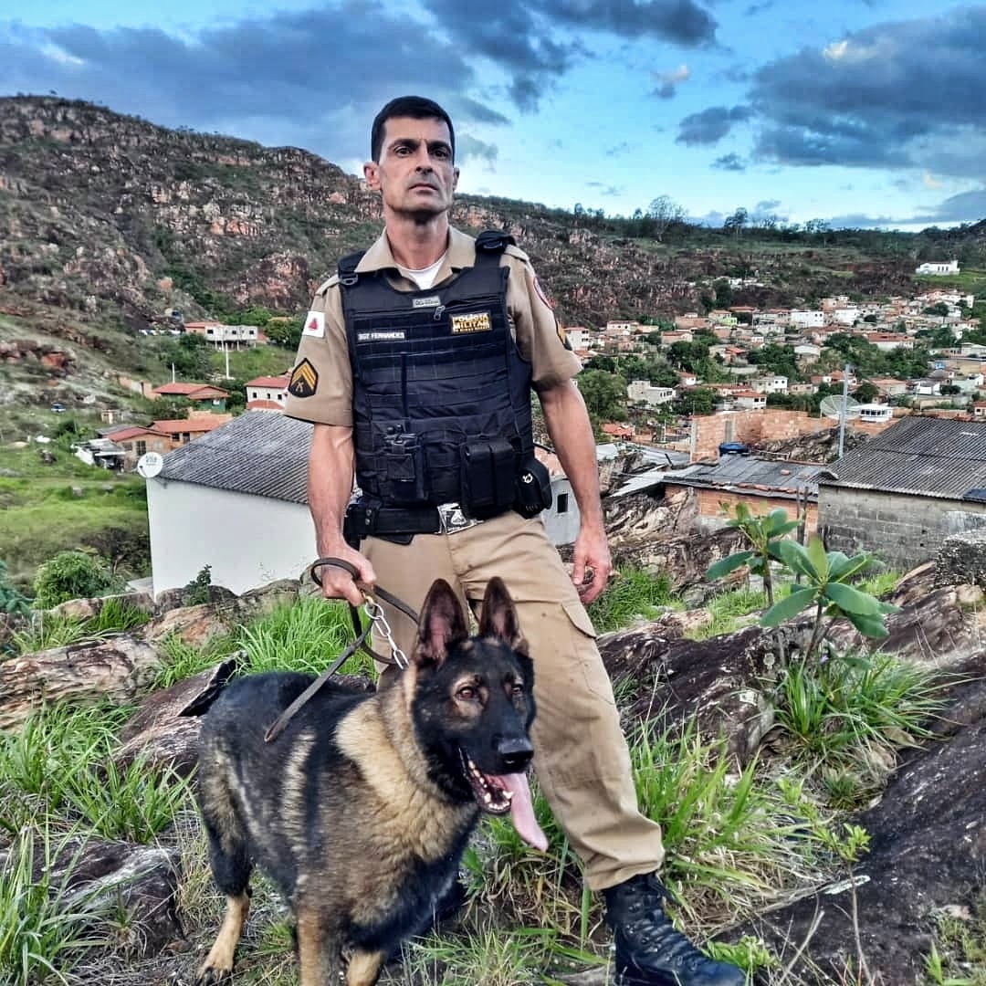 Polícia Militar de Minas Gerais tweet media