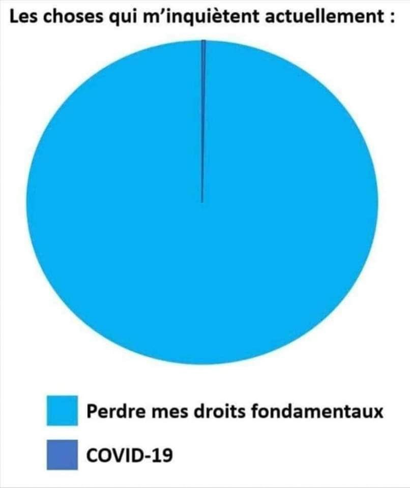 lesuricate8's tweet image. 