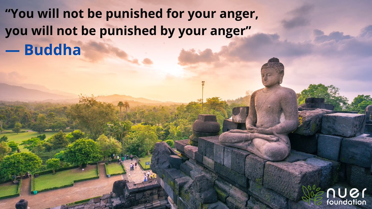“You will not be punished for your anger, you will not be punished by your anger” 
― Buddha
#MotivationalQuotes  #InspirationalQuotes  #thoughtleader #clairenuer