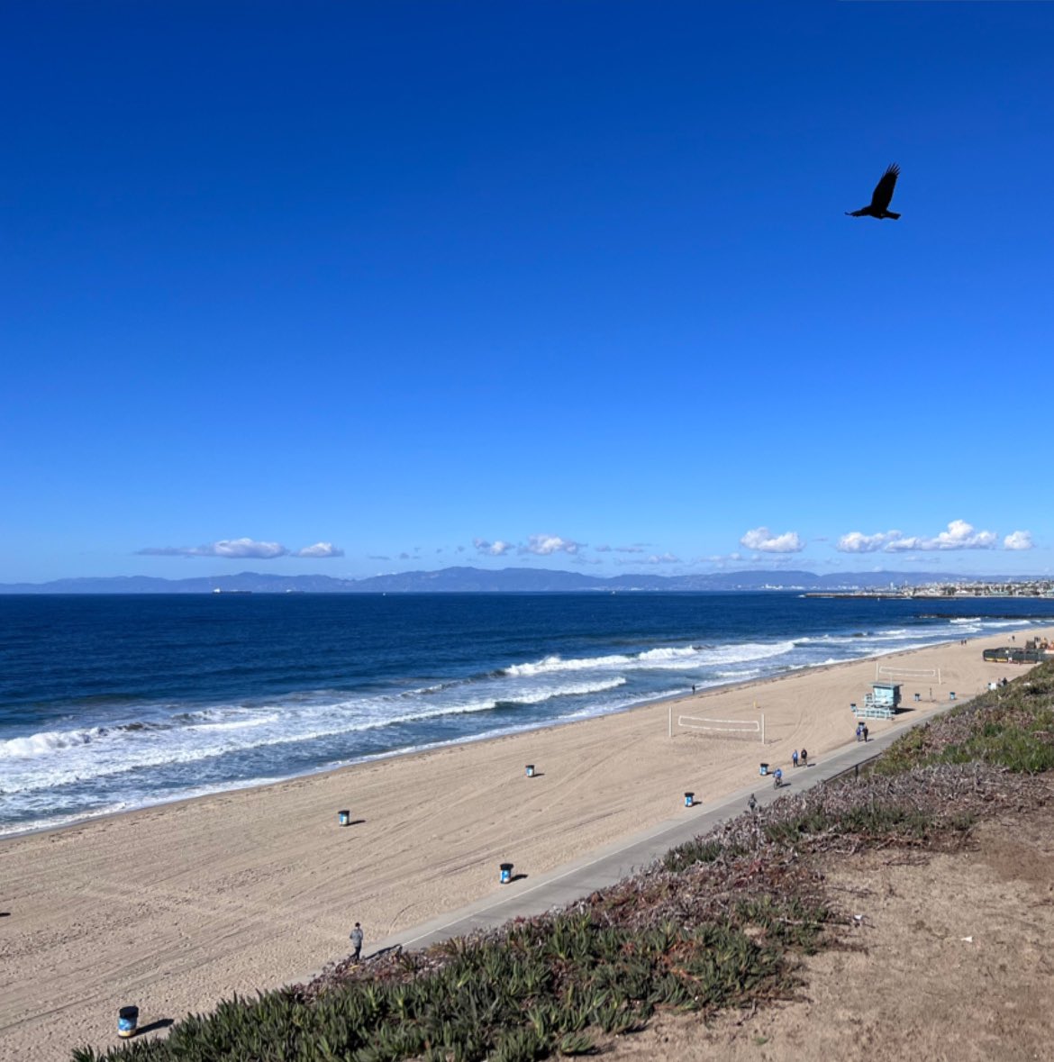 Renee_Eng's tweet photo. Day after Christmas vibes. Happy holidays everyone! #redondobeach #southbay #socalchristmas #sharesocal https://t.co/MpDy6xokT7