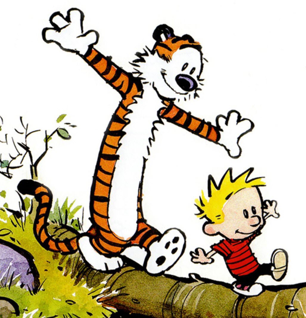 i kin hobbes from calvin & hobbes.