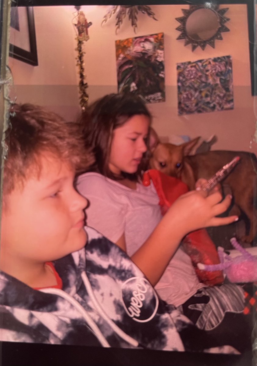 Knoxville_PD's tweet image. Public assistance needed to locate missing juveniles Danford Adam Semenyakov and Julia Rose Semenyakov, who are missing from the Copper Pointe apartments on S. Gallaher View Road. Last seen traveling south on Gallaher View.