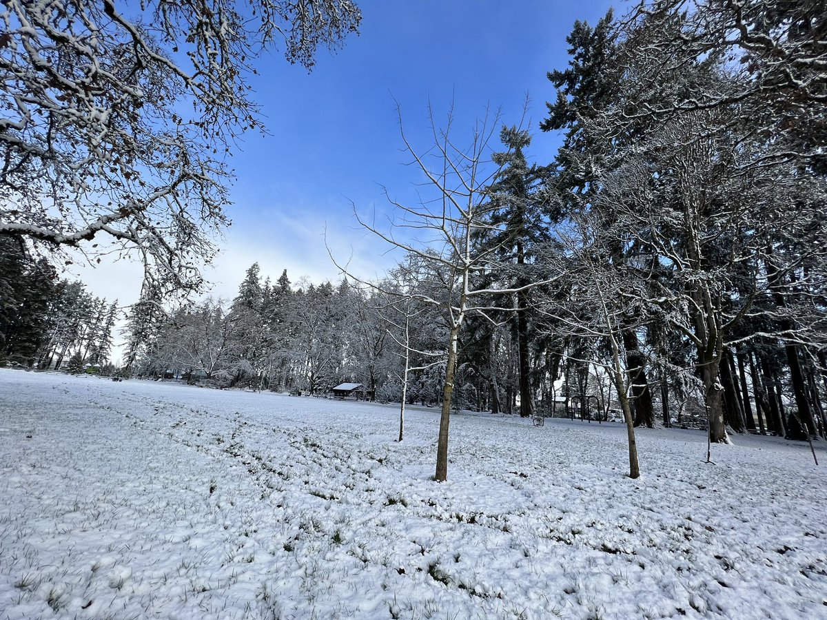 alymayjune's tweet photo. @KOINNews Shute park https://t.co/ox0aCP36n1