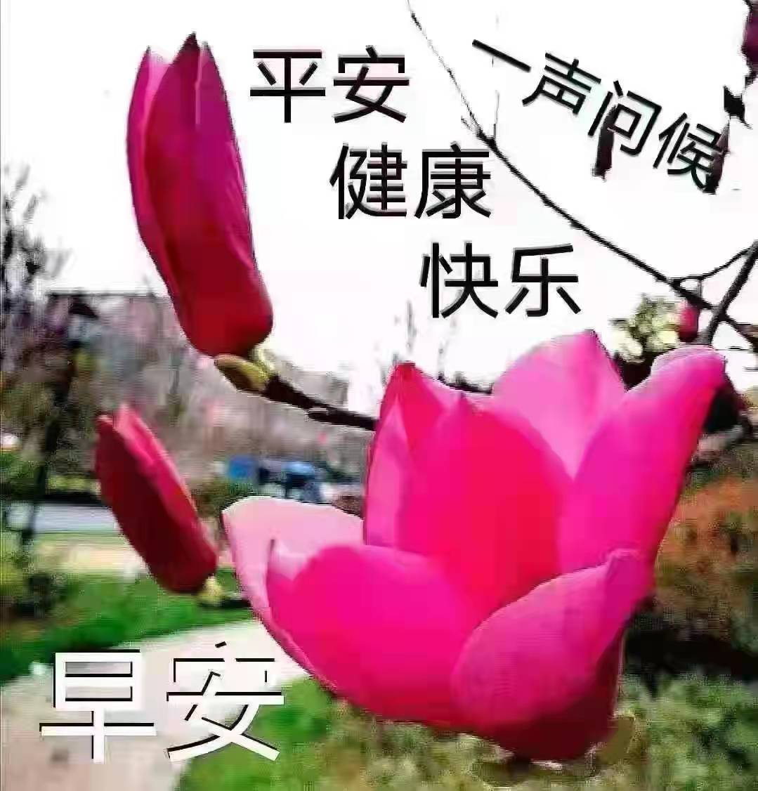 lsl3509's tweet photo. 早上好！ https://t.co/EPGC2Bi8Cd