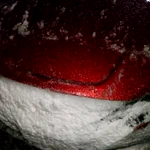 電気自動車、雪が積もると充電ポートが凍って充電できなくなる・・・