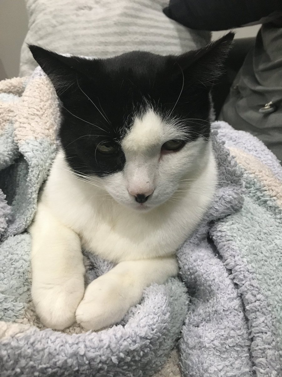 blair (abolishun type) tweet media