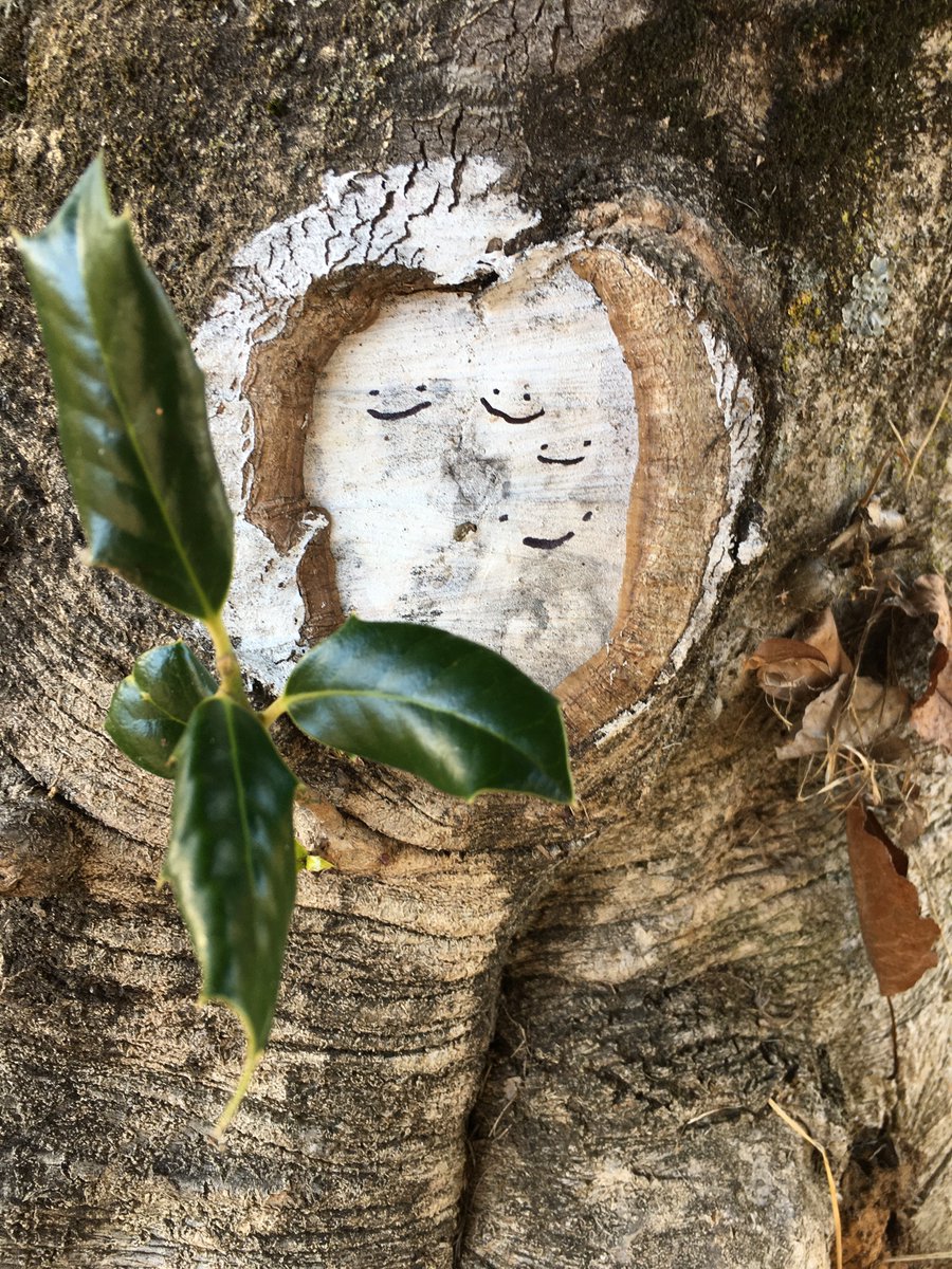strvngrtst's tweet photo. And above all, #watch with glittering eyes the whole #world around you because the greatest secrets are always hidden in the most unlikely places. Those who don't believe in #magic will never find it- #RoaldDahl

#SecretsAndJewels https://t.co/oqzsxFkDU1