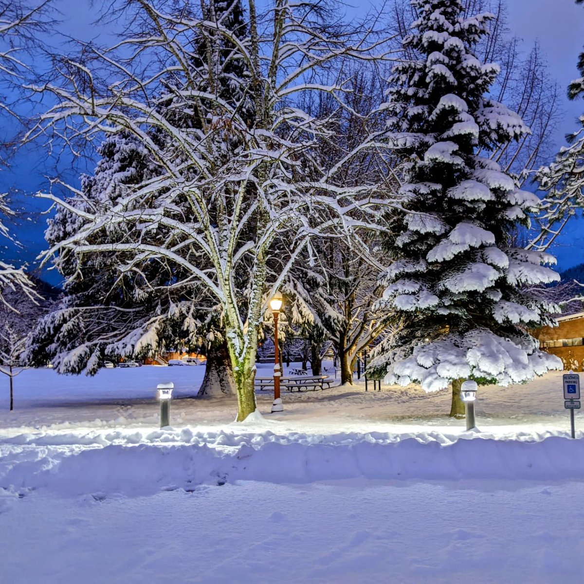 Kalley888's tweet photo. When it snows in @cityofissaquah there is a feeling of peace in the air.
I am so thankful that I get to live here.
@IssaquahDaily @DT_Issaquah https://t.co/LDv6vMixUa
