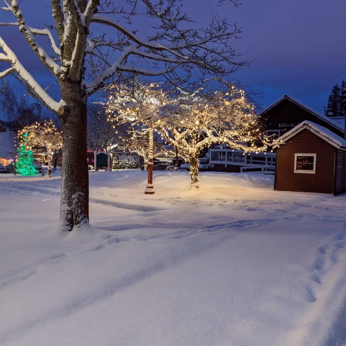 Kalley888's tweet photo. When it snows in @cityofissaquah there is a feeling of peace in the air.
I am so thankful that I get to live here.
@IssaquahDaily @DT_Issaquah https://t.co/LDv6vMixUa