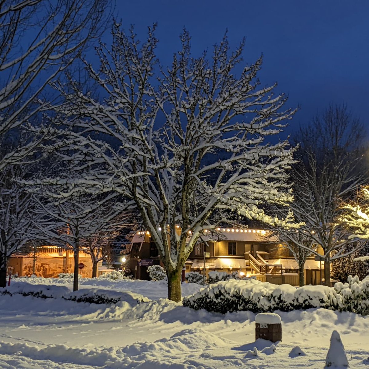 Kalley888's tweet photo. When it snows in @cityofissaquah there is a feeling of peace in the air.
I am so thankful that I get to live here.
@IssaquahDaily @DT_Issaquah https://t.co/LDv6vMixUa