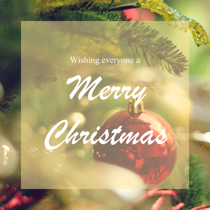 🎄Hoping everyone had a blessed Christmas this year!🎄

#Christmas #blessedchristmas
