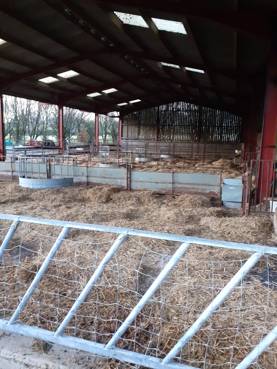 jesscollins87's tweet photo. The sign that the new year is nearing. Soon the ewes will be in, scanning, shearing and before you know it lambing!!!! 😲😳 https://t.co/pUXMg326dc