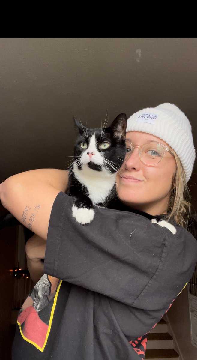 33msherwood's tweet photo. Someone was unamused until some birds caught her eye😽 https://t.co/j7ytF57vIs