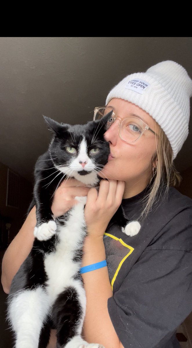 33msherwood's tweet photo. Someone was unamused until some birds caught her eye😽 https://t.co/j7ytF57vIs