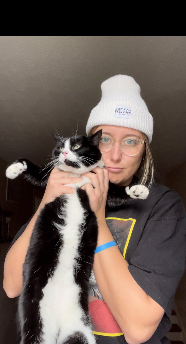 33msherwood's tweet photo. Someone was unamused until some birds caught her eye😽 https://t.co/j7ytF57vIs