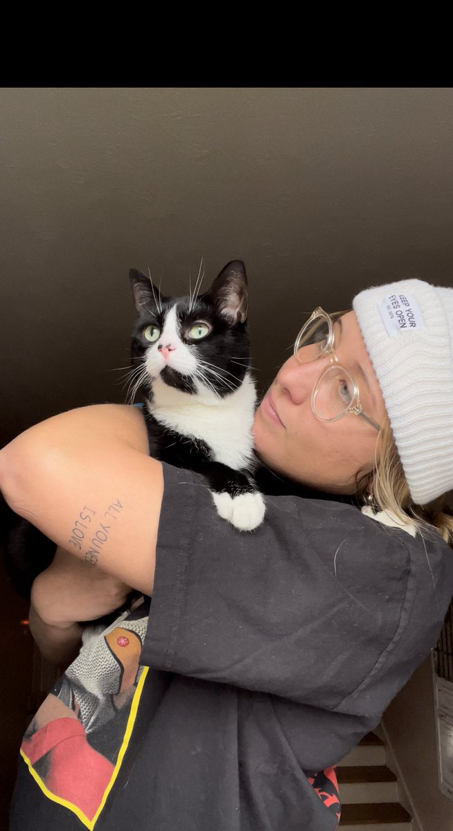 33msherwood's tweet photo. Someone was unamused until some birds caught her eye😽 https://t.co/j7ytF57vIs