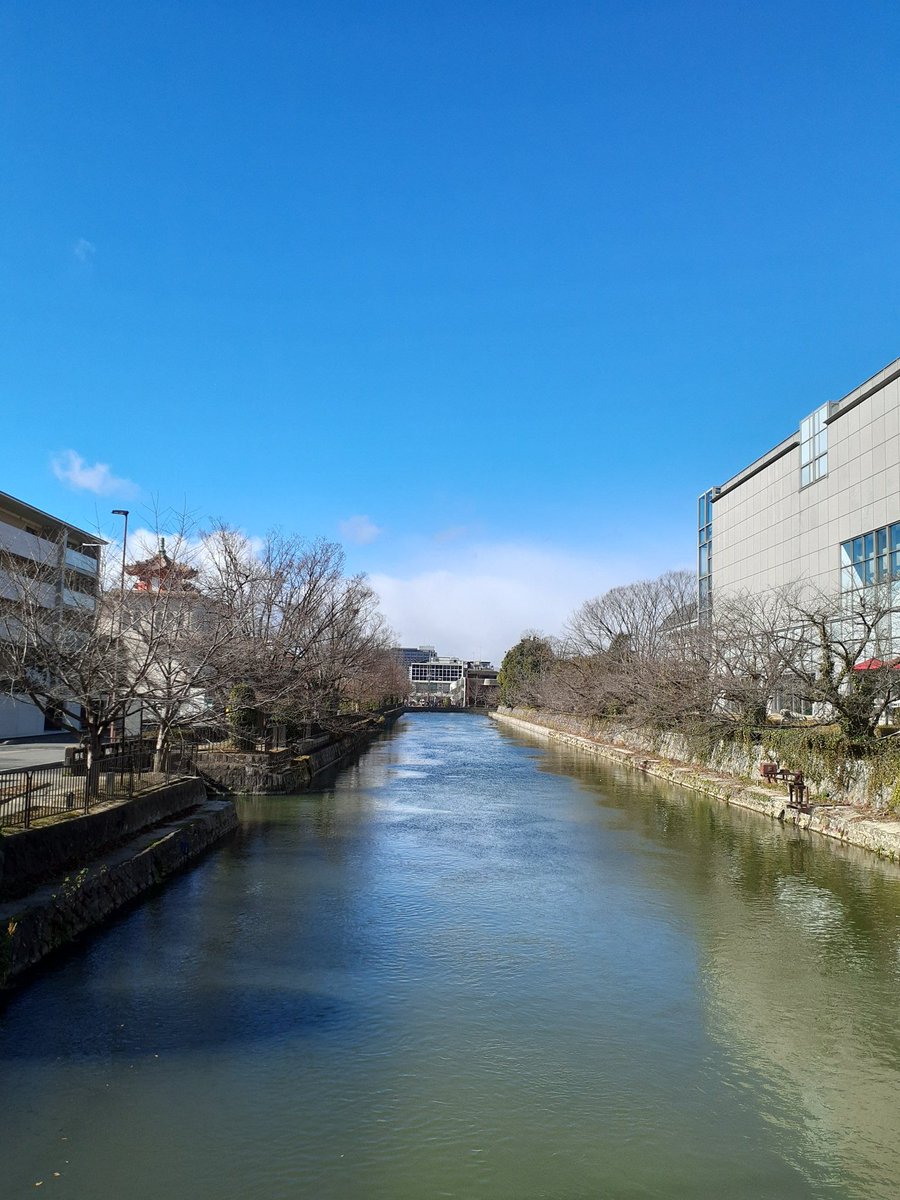 sobokugasuki's tweet photo. おはようございます️☀️.°

大雪にならなくて嬉しい朝です😊☘️
大雪どころか お月さまが出ています🌓
冬本番になると 凍結さえなければ 寒いだけなら有り難いと思えます👍✨✨

今年も今週いっぱいですね😊
油断しないで参りましょう٩(°̀ᗝ°́)و

今日も素敵な一日を🍀*゜

 #川の突き当たりは建物です https://t.co/NLiKHuLJPP