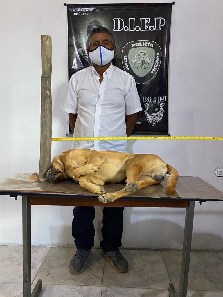 TarekWiliamSaab's tweet photo. #NoAlMaltratoAnimal DETENIDO  Córdoba Piña Antonio quien abrió el portón de su vecina violentamente y al ver que su #mascota comienza a ladrar: el sujeto mata a palazos al animal #DELITOS  a #IMPUTAR 
* Daño a animal ajeno,
* Maltrato animal,
* Justicia por mano propia https://t.co/hhssyBLHro