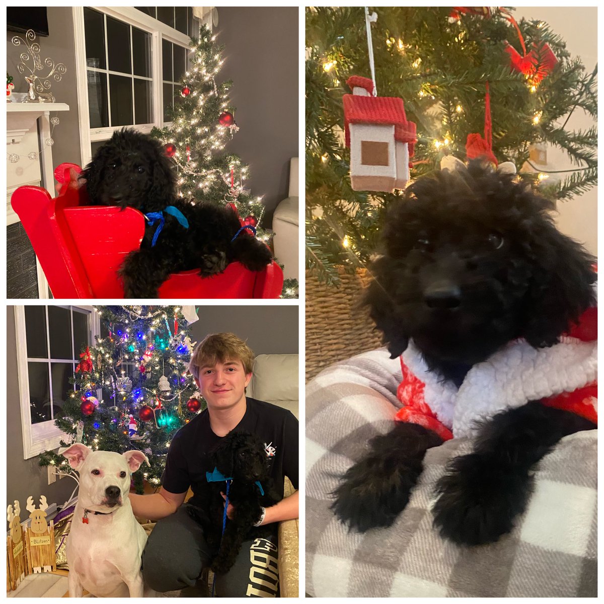 Melissa St. John, CEO, NCIDQ, RID (@melissa_relo) on Twitter photo 