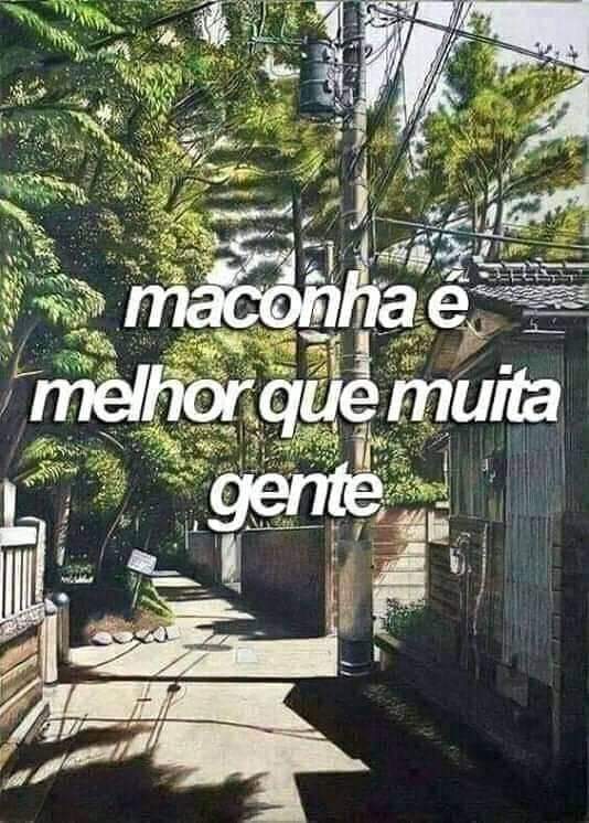 MaconheiroMemo's tweet photo. exato https://t.co/N2CjFT5l22
