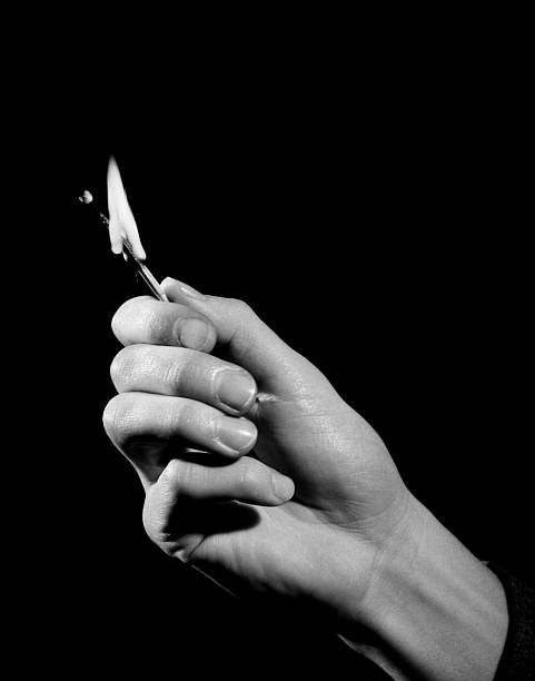 Yokefinance's tweet photo. #YKF Burns Will Now Better Reflect DeFi Activity on Binance Smart Chain (BSC).

https://t.co/VR0JQeO7Dj https://t.co/IetHvhIYgx