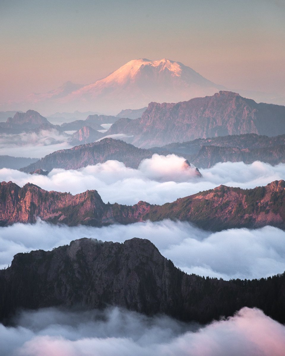 ElliotHawkey's tweet photo. Mt. Rainier and a sea of fog 🗻 https://t.co/C4IgTYdMn6
