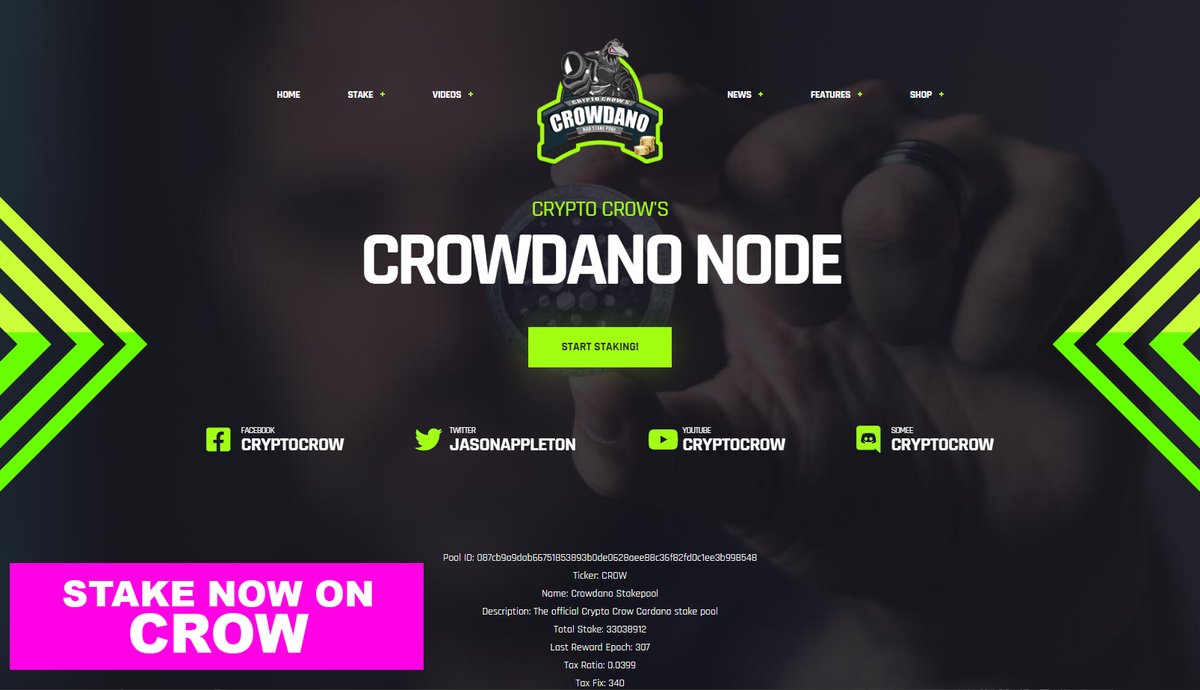 crypto crow website