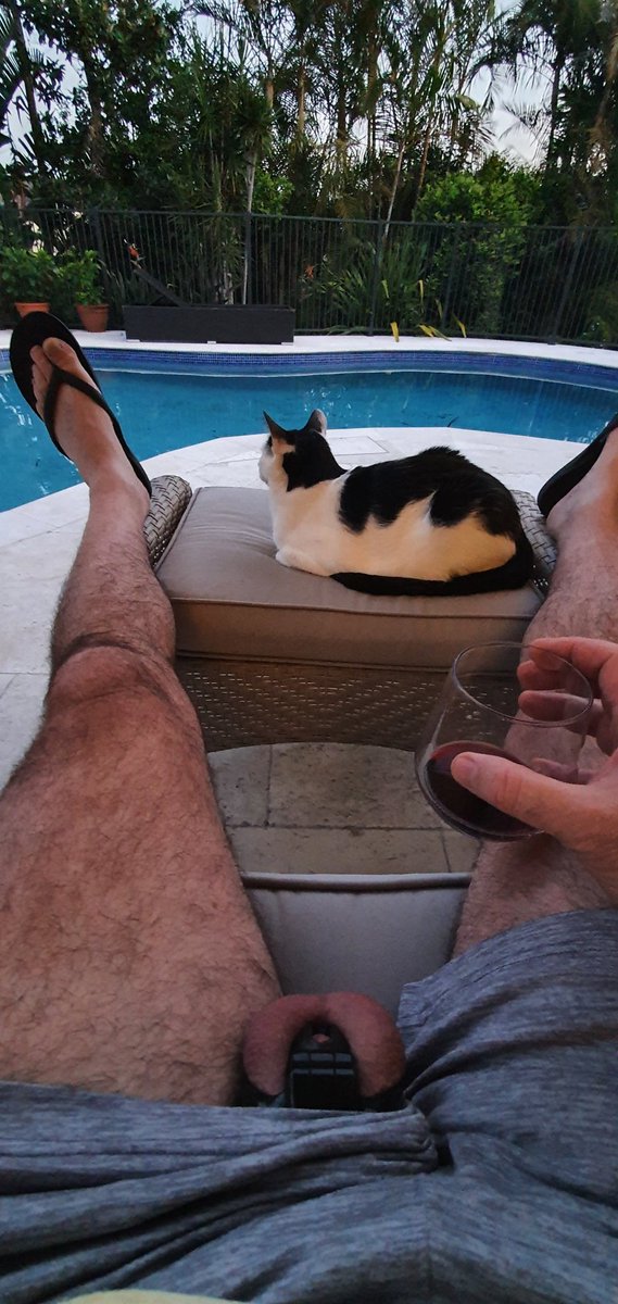 4_hypno's tweet photo. Christmas by the pool. https://t.co/HhA9V3PGGg