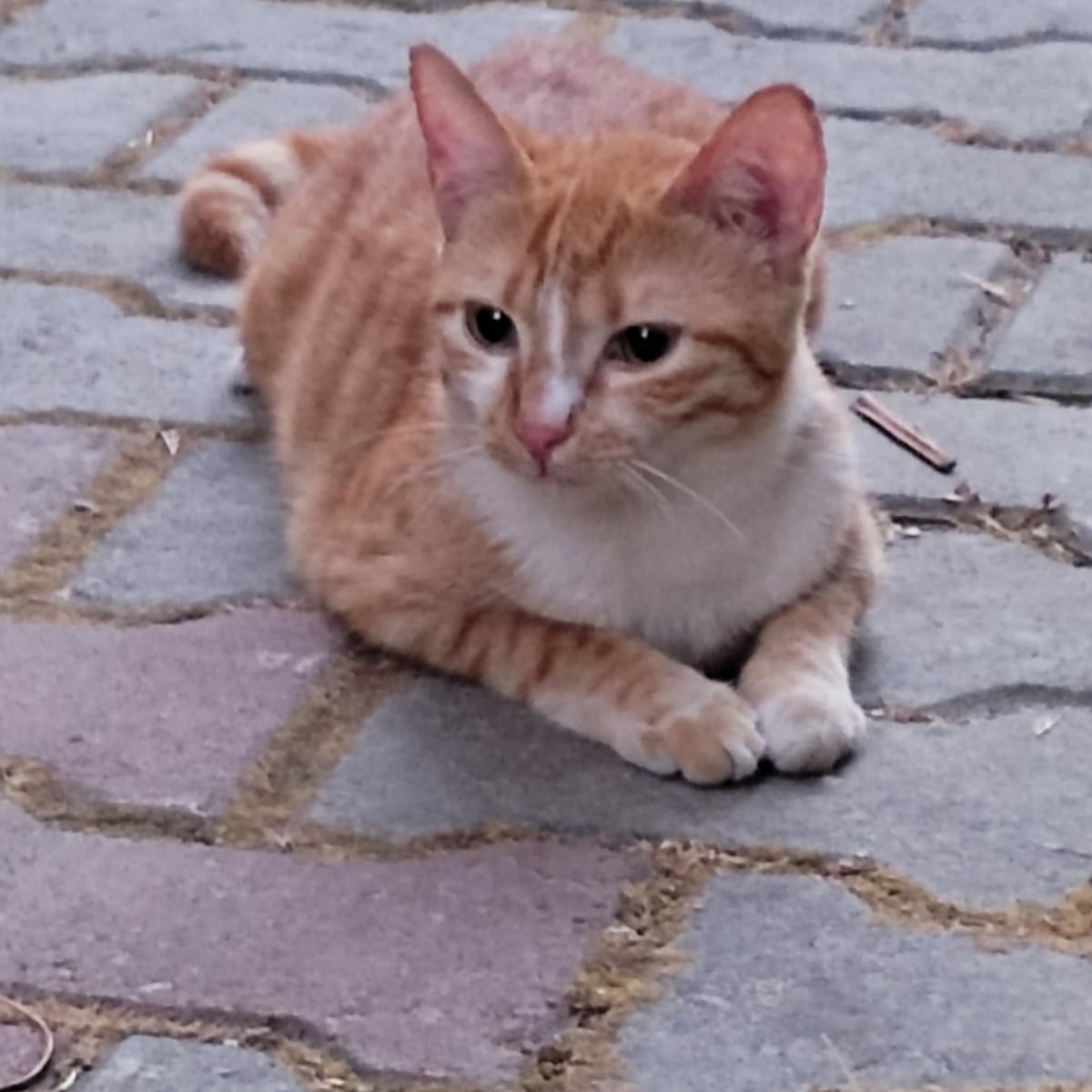 #YeniProfilResmi