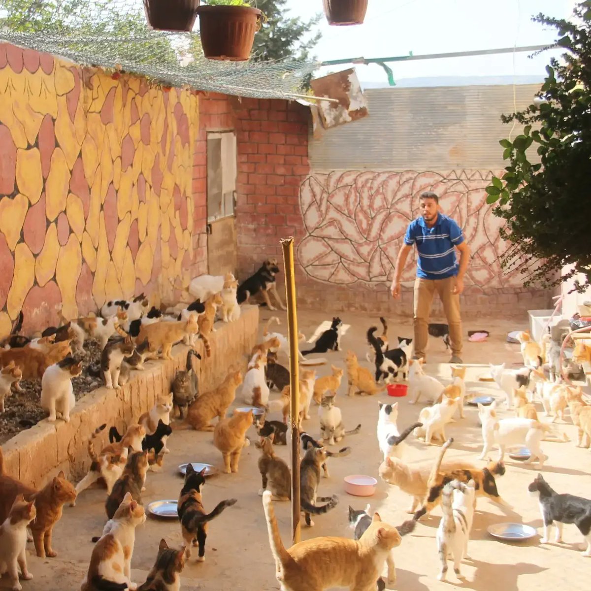 Please donate in order to feed these innocent souls, fill their stomachs and treat them from diseases, without you, this cannot be done,🙏❤
Paypal Donation Link🙏👇❤🎄
paypal.com/cgi-bin/webscr…