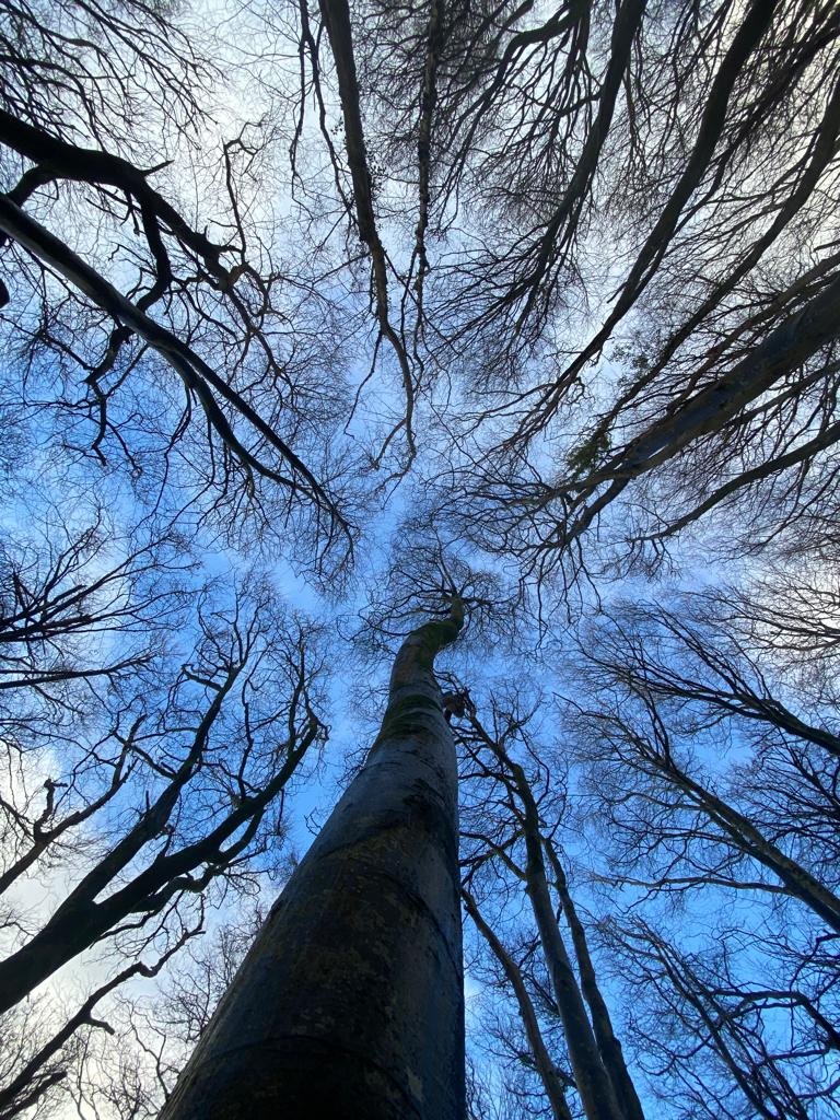 Mary Gagen tweet media