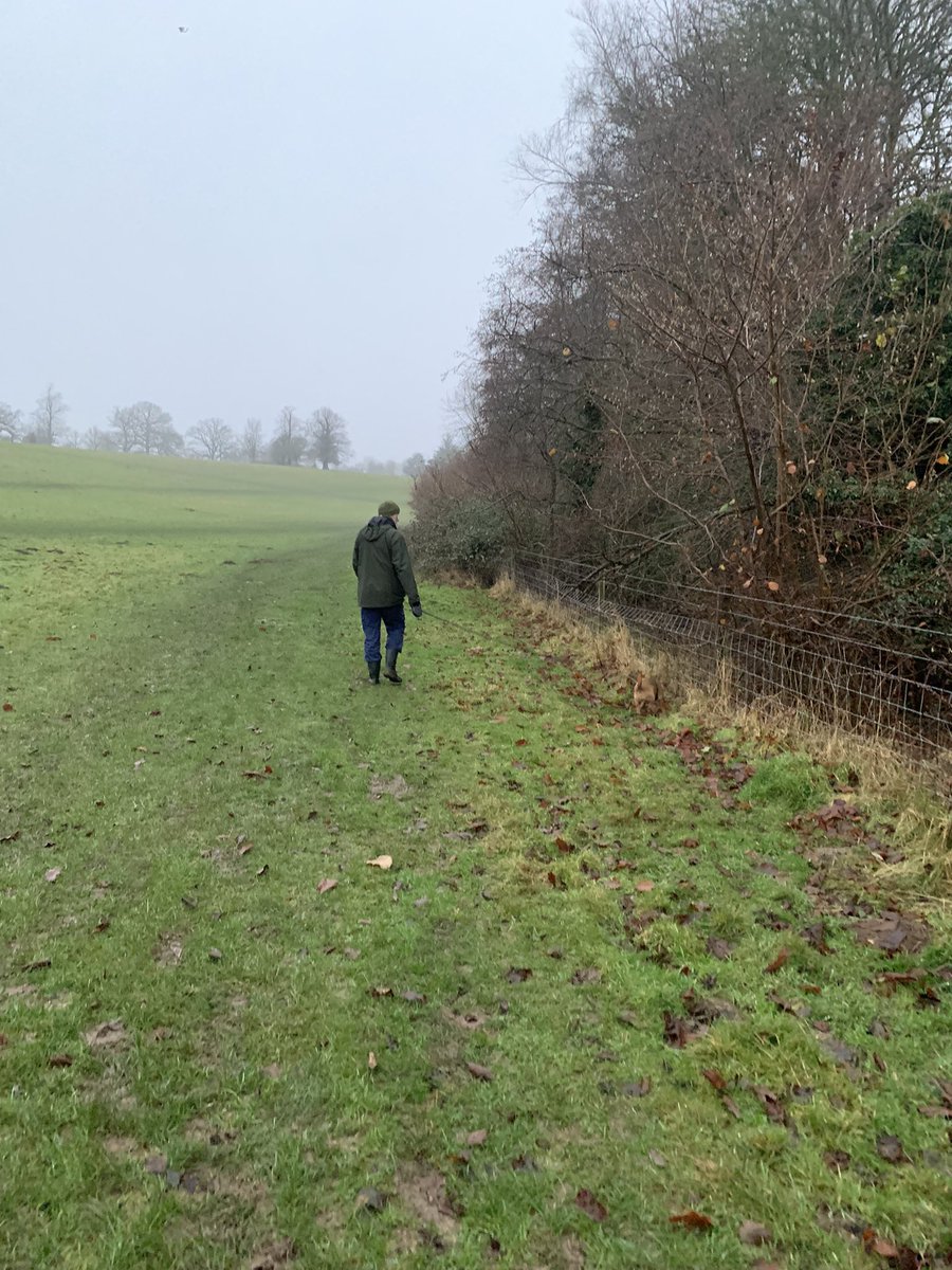 TheFashionRecy1's tweet photo. Letβs play βspot the #borderjack β πππ
#livingwithaborderjack #BoxingDayWalk #btposse #TradWifeLife #SideHustlerLife https://t.co/W8usAHopth