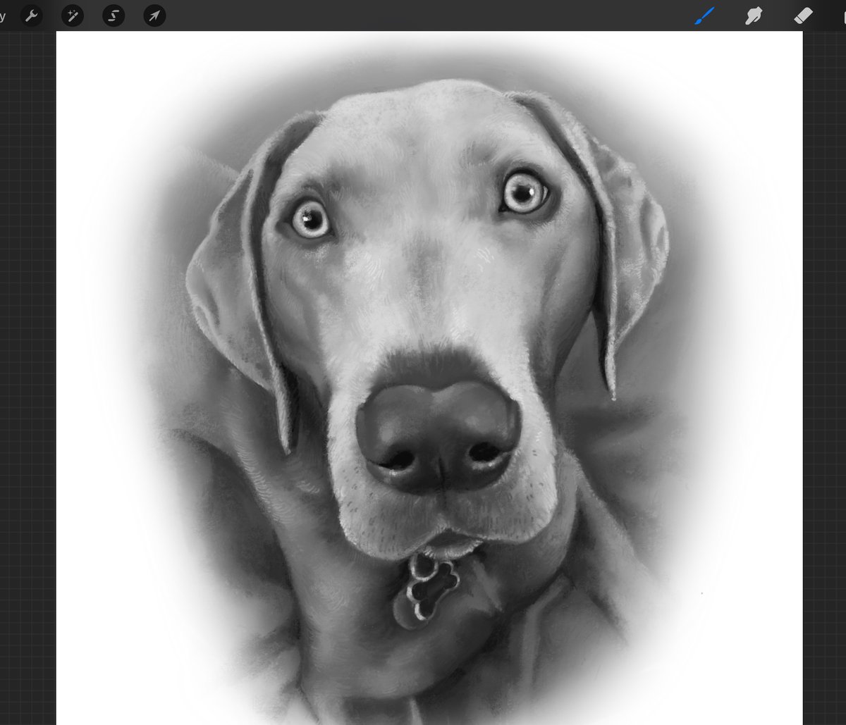 chickchristen's tweet photo. painting i did for my cousin plus a closeup of the brush deets !!! ^___^
☺️🐶🦮🐾
#procreate #Procreate5_2 #digitalart #digitalpainting #petportrait #dogsoftwitter #artistsontwitter https://t.co/EFHW6TqvoE