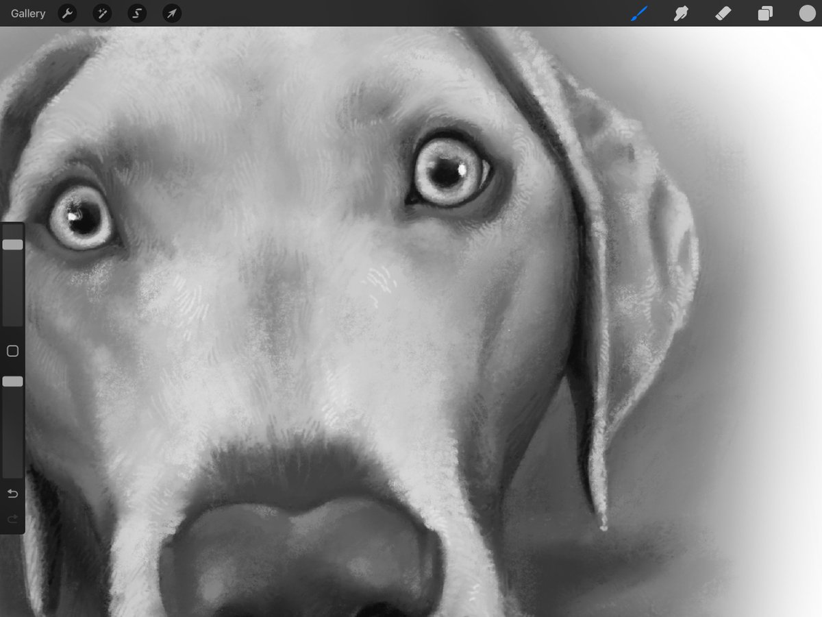 chickchristen's tweet photo. painting i did for my cousin plus a closeup of the brush deets !!! ^___^
☺️🐶🦮🐾
#procreate #Procreate5_2 #digitalart #digitalpainting #petportrait #dogsoftwitter #artistsontwitter https://t.co/EFHW6TqvoE