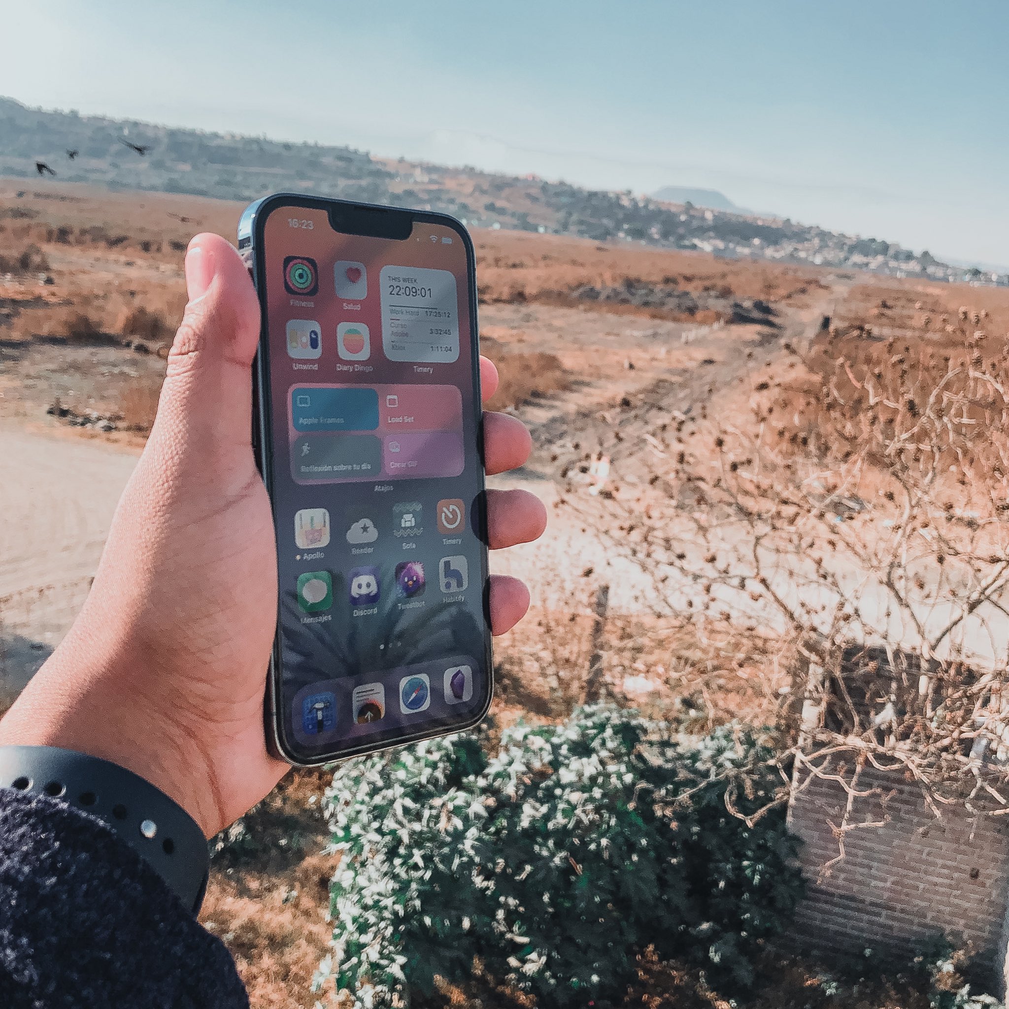 Iphone Sierra Blue