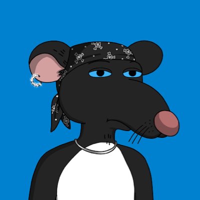SljmeNFT's tweet photo. GANG GAAANG! I’m finally apart of @GutterCatGang! LFG! #GCG #NewProfilePic https://t.co/y4TJp5HN7q