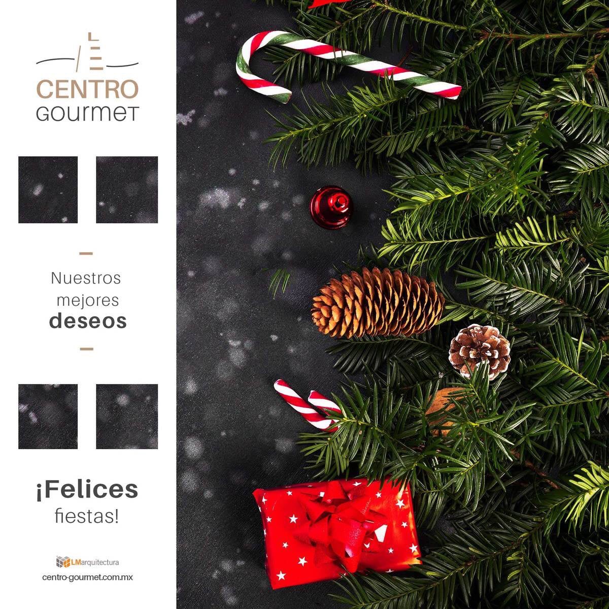 centro-gourmet.com.mx