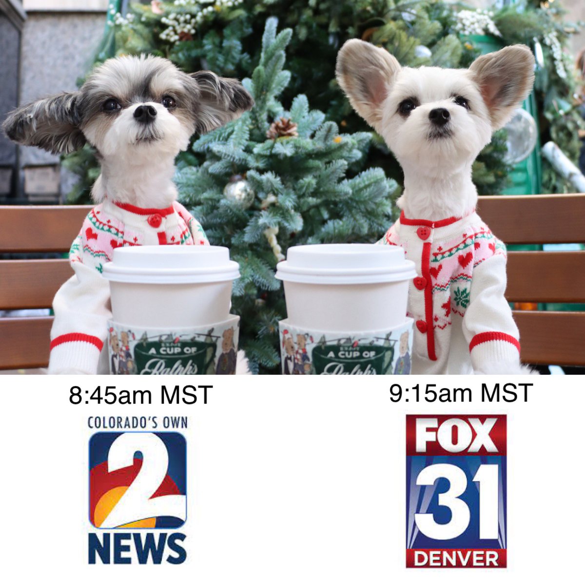 TINKERBELLEadog's tweet photo. Woof! Attention Denver, Colorado!!Tomorrow we will be live on @channel2kwgn at 8:45am MST and then live on @KDVR at 9:15am MST! Don’t miss us!
#famousdogsofinstagram #famousdogs #doginfluencers #pupfluencer #coloradogram #denverco #denvercolorado #MondayMorning https://t.co/u4HvVKeZsD