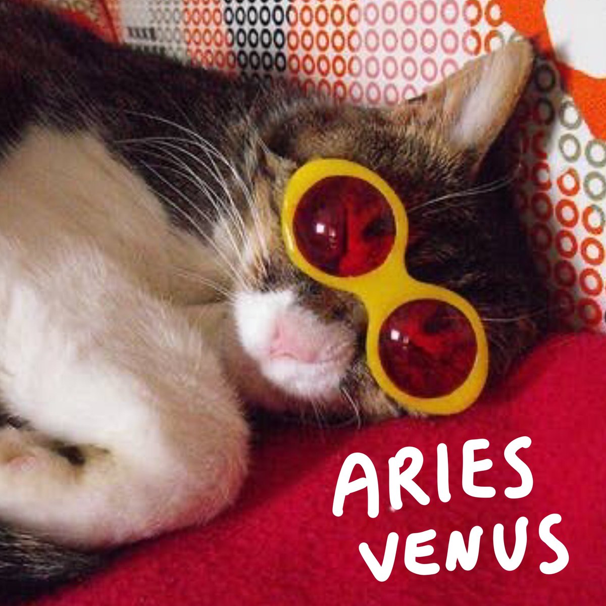 magstrology's tweet photo. Make a cats with sunglasses moodboard with your astrological placements https://t.co/IUGMVcwOTE