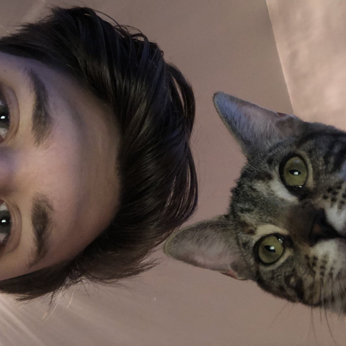 Dylan Lundgren tweet media