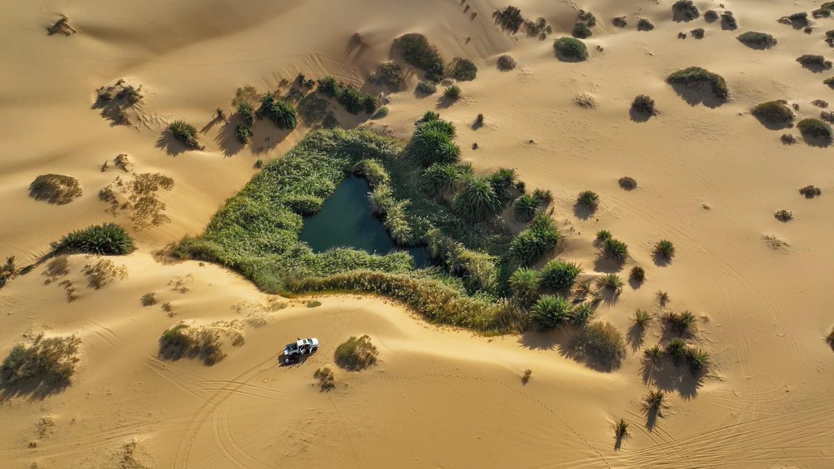 MahmudM27830556's tweet photo. #Libya sahara desert
#Awbari
📸 Sanad Al-Ahlafey https://t.co/4ZtAxP02kX