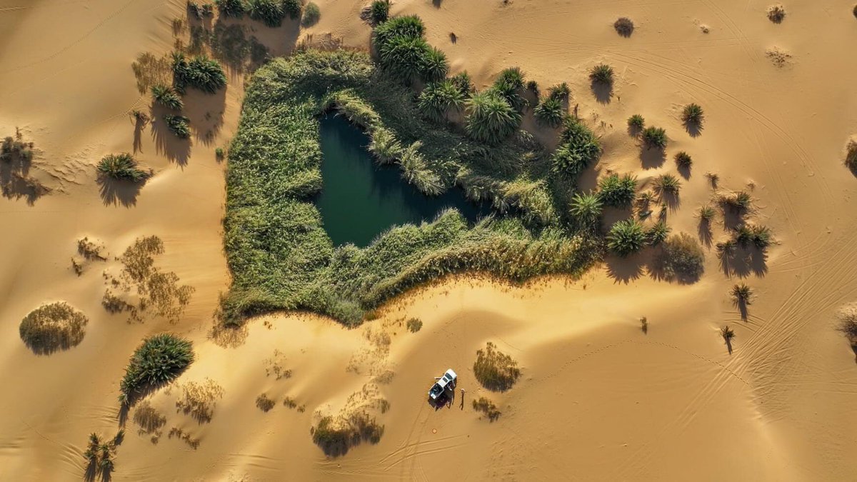 MahmudM27830556's tweet photo. #Libya sahara desert
#Awbari
📸 Sanad Al-Ahlafey https://t.co/4ZtAxP02kX